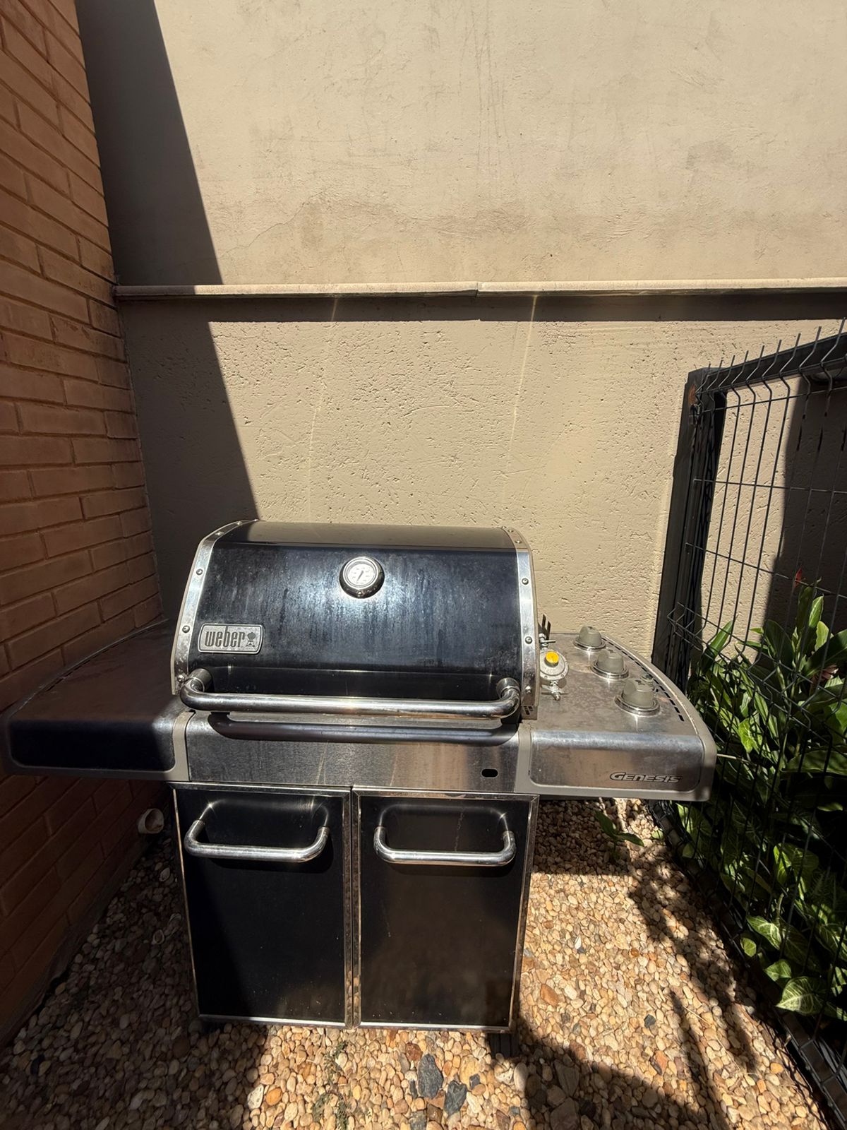 WhatsApp Image 2026-03-18 at 06.53.44 (1)