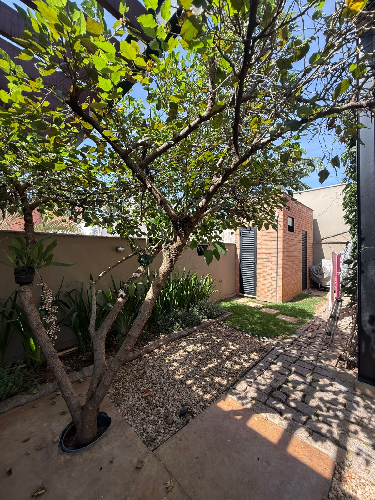 WhatsApp Image 2026-03-18 at 06.53.48 (1)