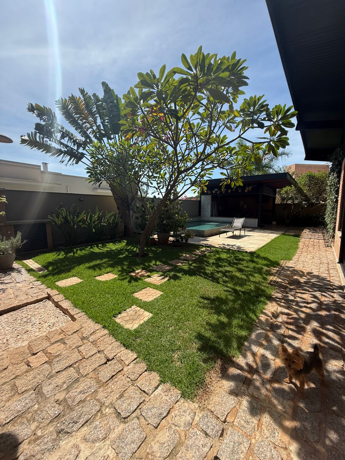 WhatsApp Image 2026-03-18 at 06.53.49 (1)