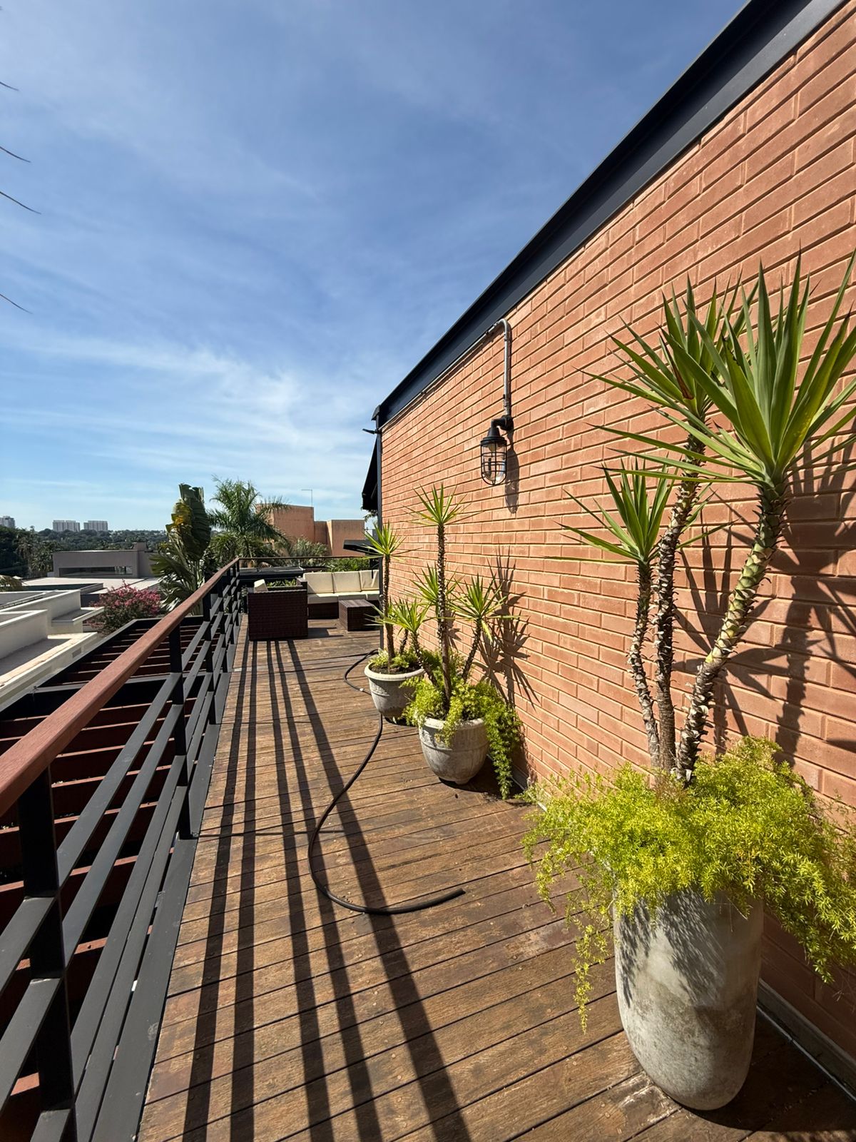 WhatsApp Image 2026-03-18 at 06.53.56